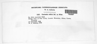 Image Associated With the Occurence